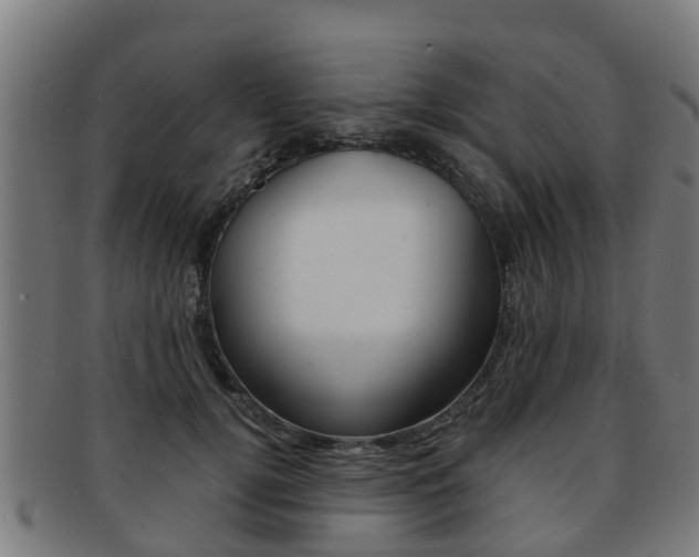 X0000092000752200709061240