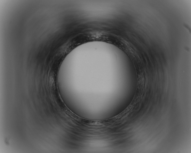 X0000092000754200709061240