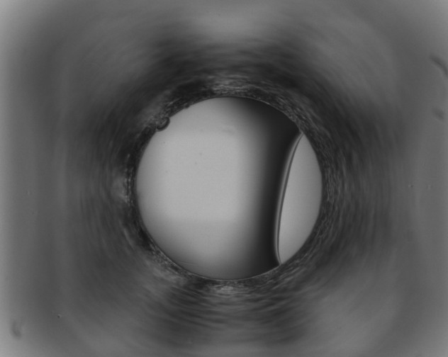 X0000092000755200709061240