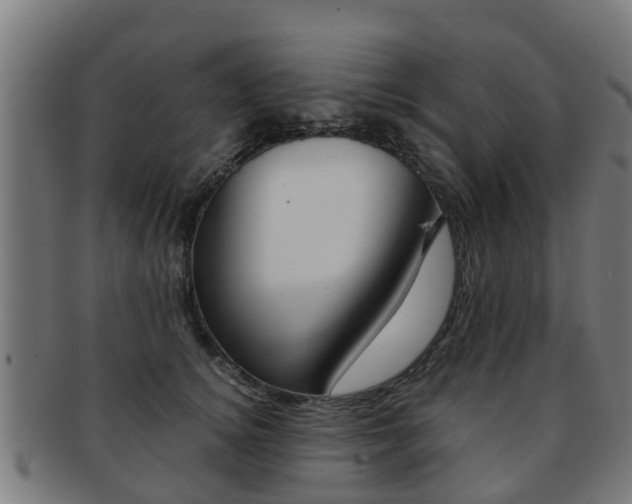 X0000092000756200709061240