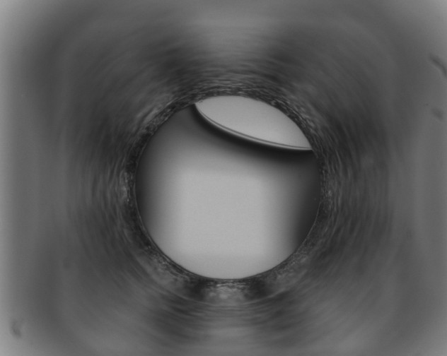 X0000092000758200709061240