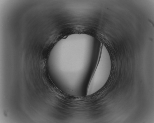 X0000092000759200709061240