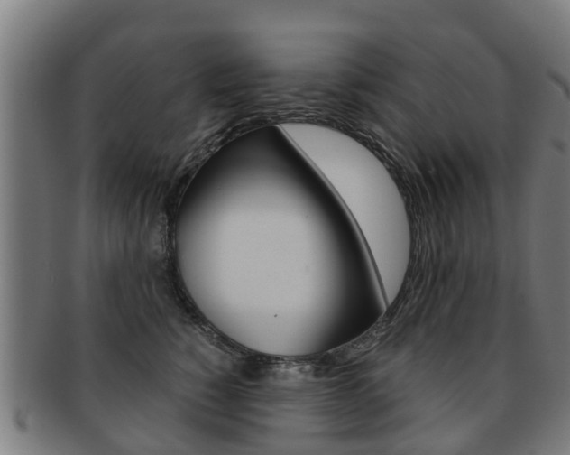 X0000092000760200709061240