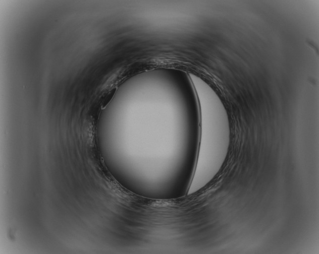 X0000092000762200709061240