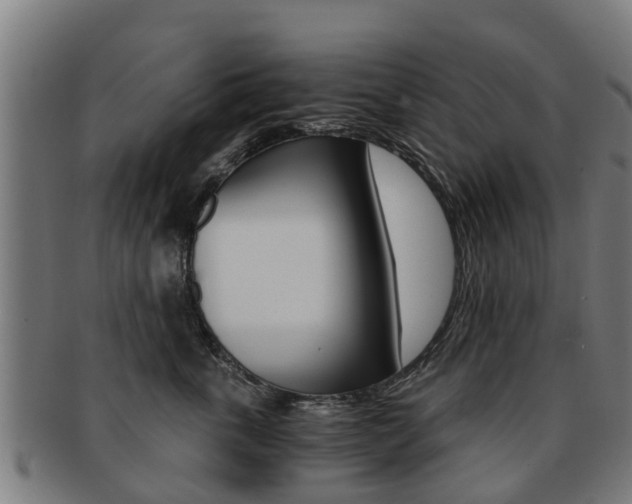 X0000092000763200709061240
