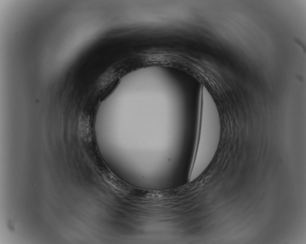 X0000092000764200709061240