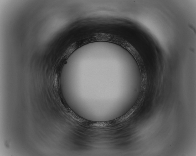 X0000092000765200709061240