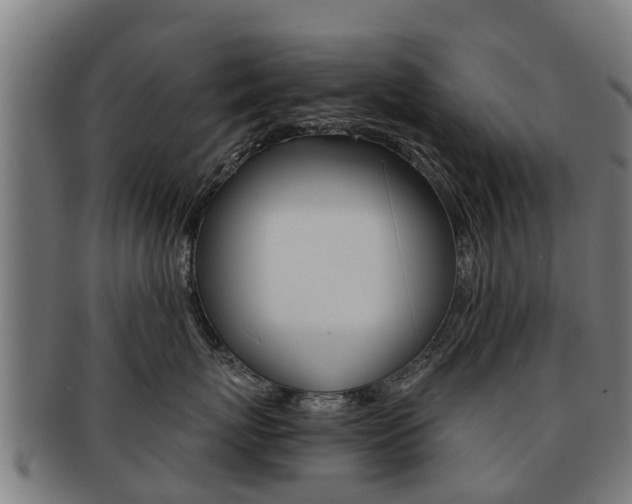 X0000092000767200709061240