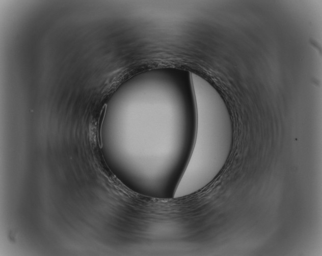 X0000092000768200709061240