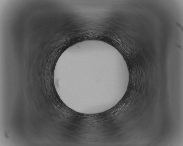 X0000092000769200709061239