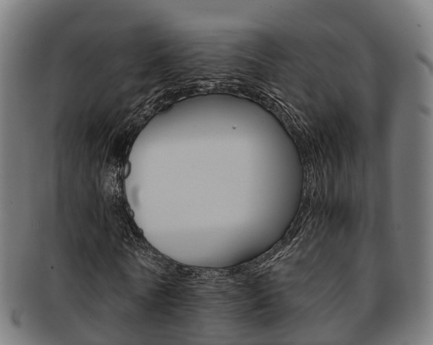 X0000092000770200709061239