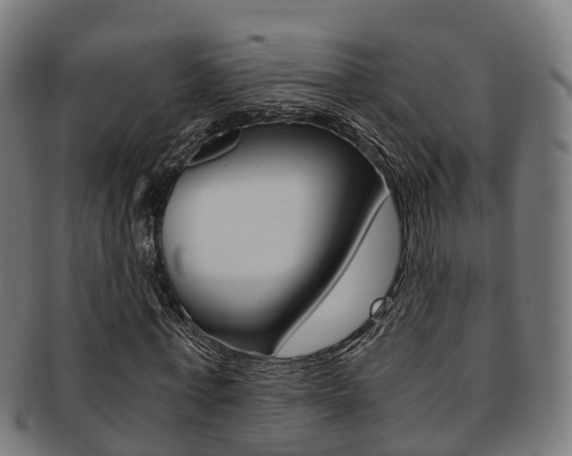 X0000092000771200709061239