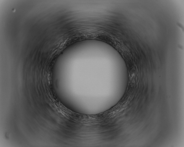 X0000092000772200709061239