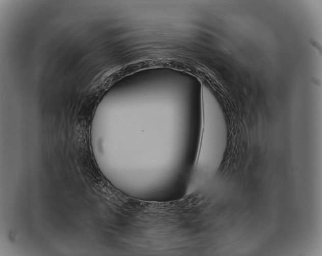 X0000092000773200709061239