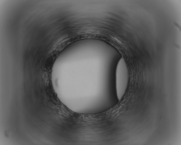 X0000092000774200709061239