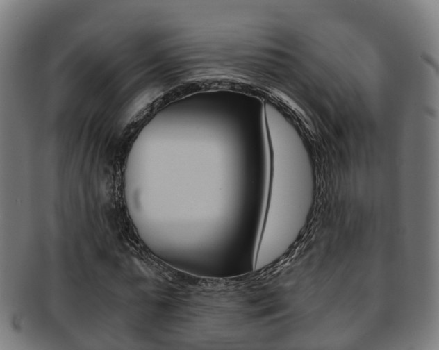 X0000092000775200709061239