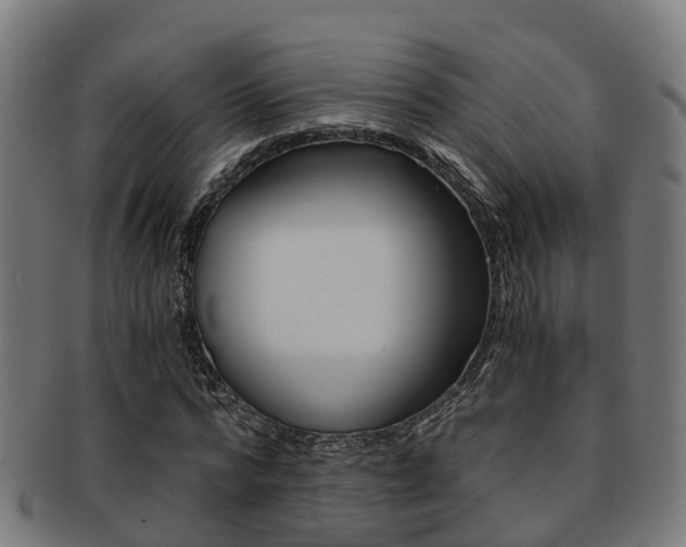 X0000092000776200709061239