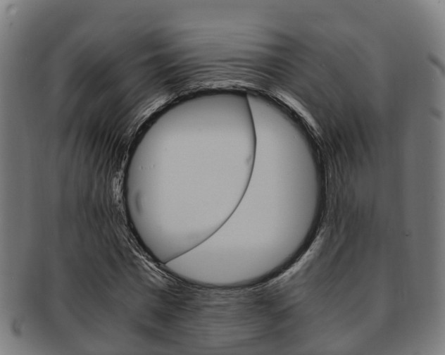 X0000092000777200709061239