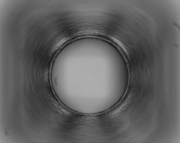 X0000092000778200709061239