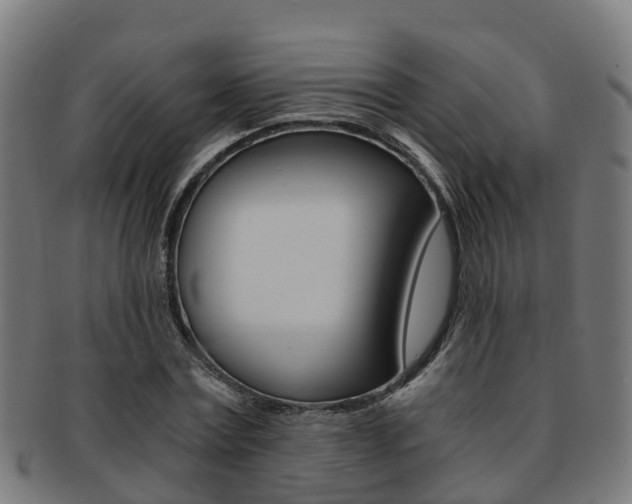 X0000092000779200709061239