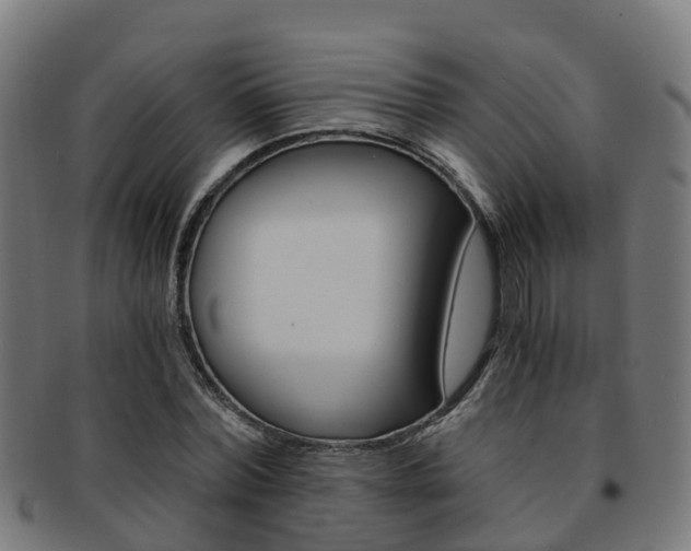 X0000092000780200709061239