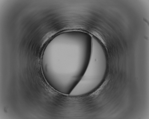 X0000092000781200709061239