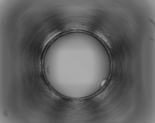 X0000092000782200709061239