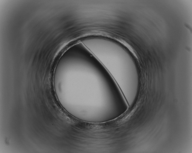 X0000092000783200709061239