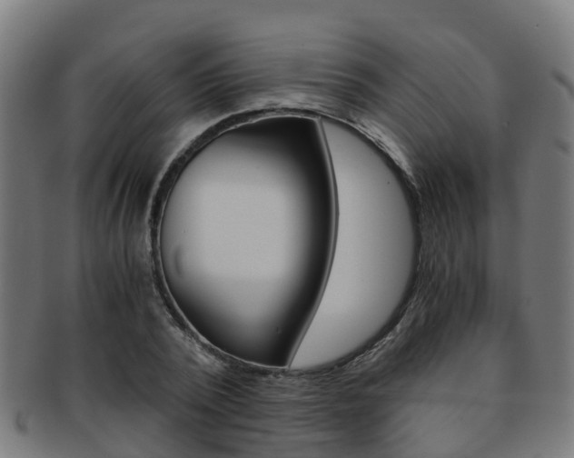 X0000092000784200709061239