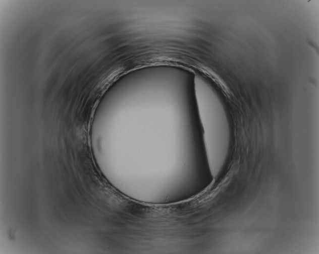 X0000092000785200709061239