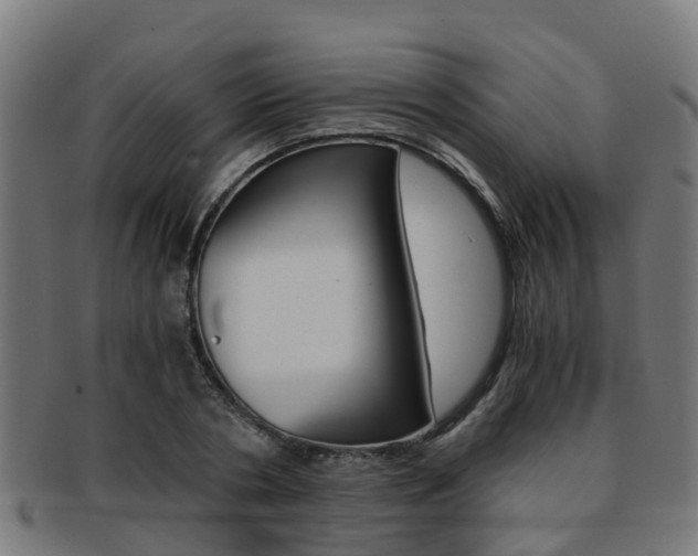 X0000092000786200709061239