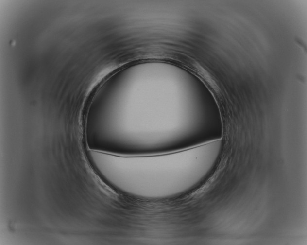 X0000092000787200709061239