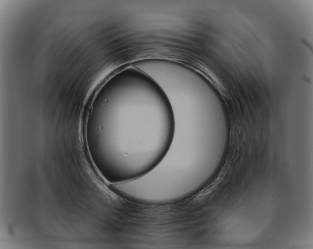 X0000092000788200709061239