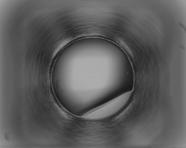 X0000092000789200709061239