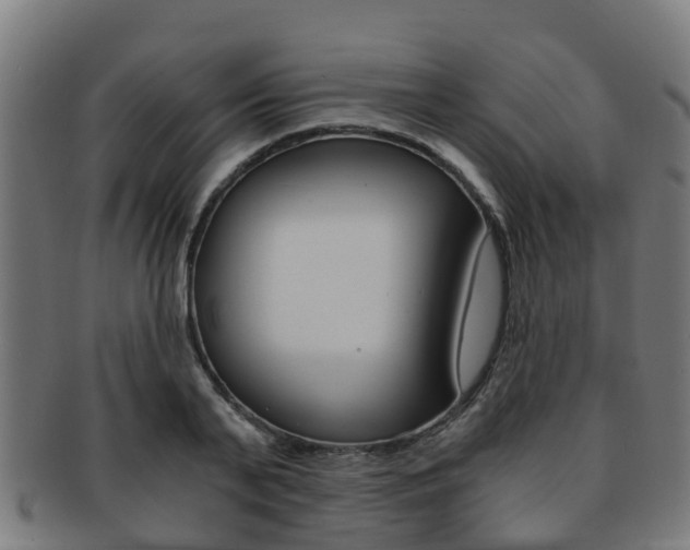X0000092000791200709061239