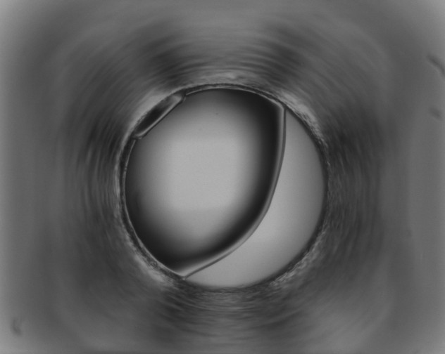 X0000092000792200709061239