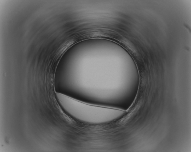 X0000092000793200709061239