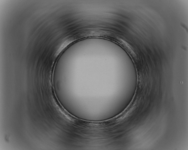 X0000092000794200709061239