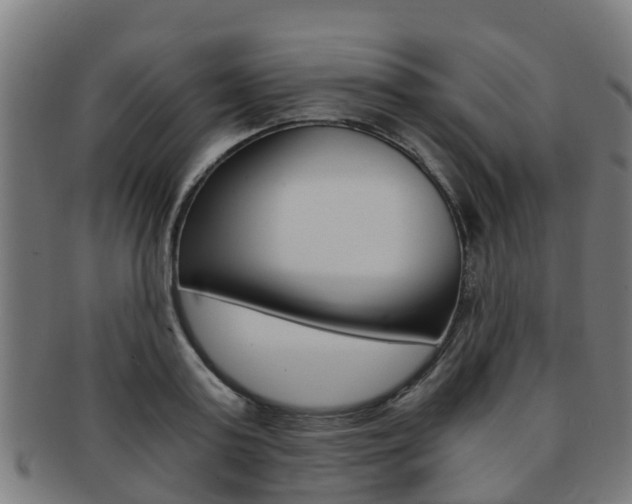 X0000092000795200709061239