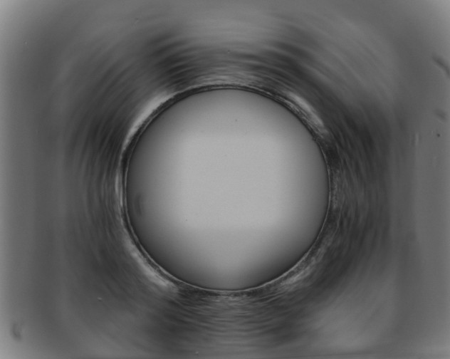 X0000092000796200709061239