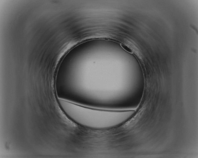 X0000092000797200709061239