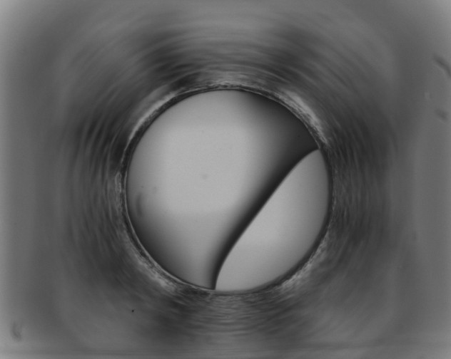 X0000092000798200709061239