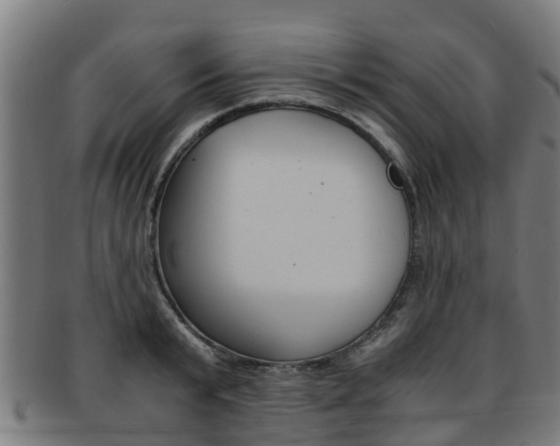 X0000092000799200709061239