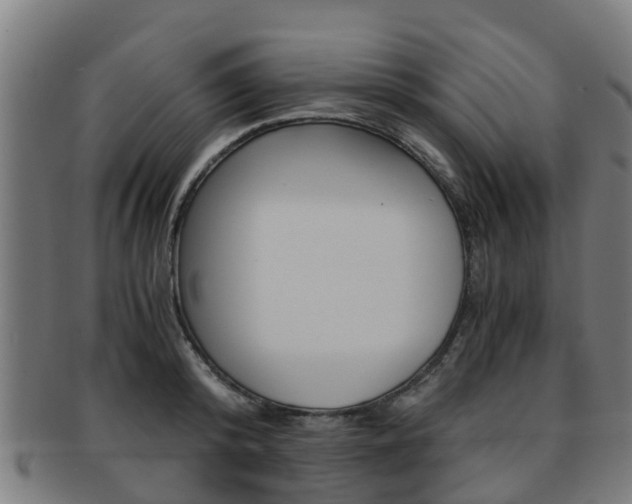 X0000092000800200709061239