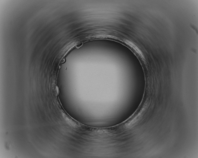 X0000092000801200709061239
