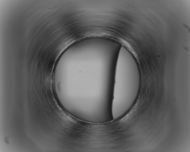 X0000092000802200709061239