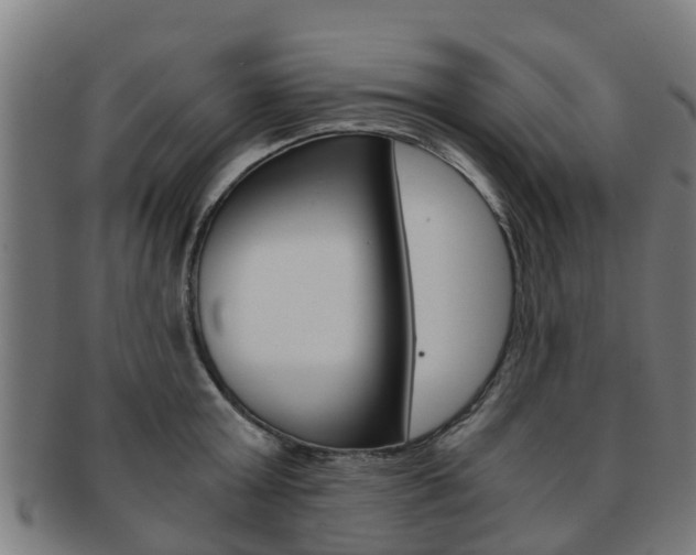 X0000092000803200709061239