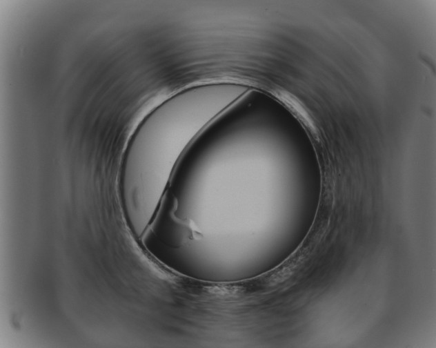 X0000092000805200709061239