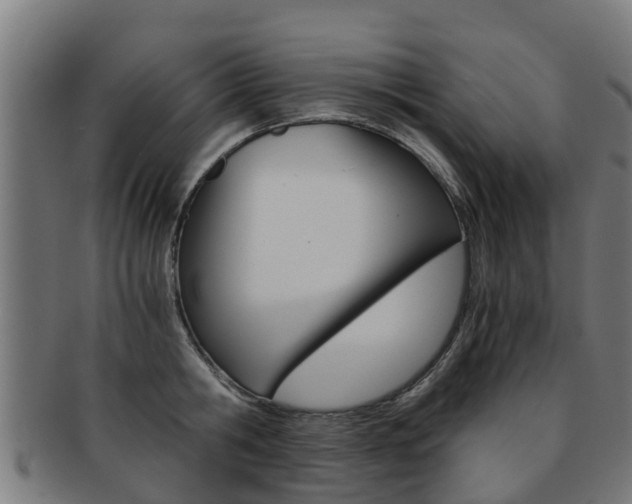 X0000092000806200709061239