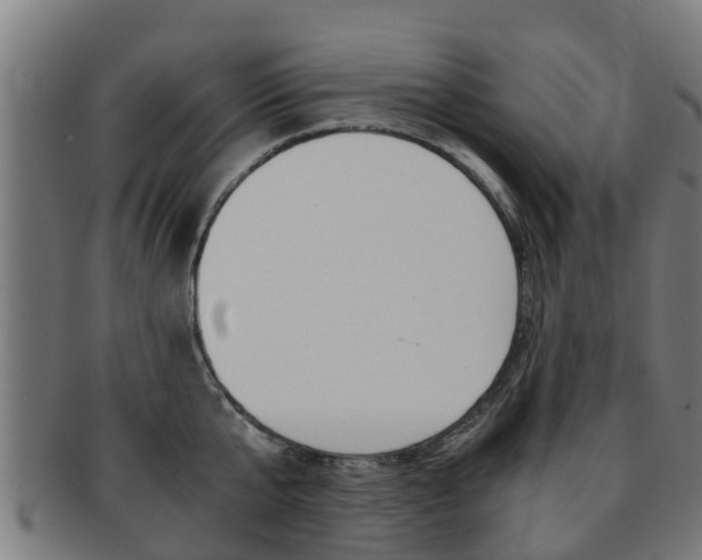 X0000092000807200709061239